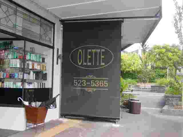 Patio Screens - Standard Patio screen with Mesh cover and signwriting for Ollette Hair Design in Remuera copy.jpg